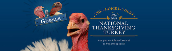 National Thanksgiving Turkey, Obama National Thanksgiving Turkey, Obama
